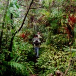 Nature Tours Nicaragua