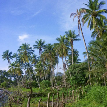 Flora & Fauna of Nicaragua Guided Ecotour to 5 Nature Reserves